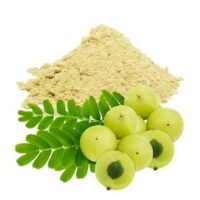 Amla Powder (Gooseberry Powder)