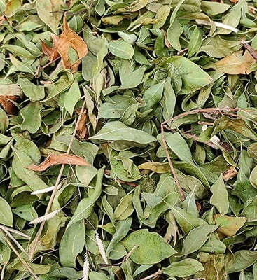 Second image of Dry Henna Leaves 100% Pure and Natural – 500gm